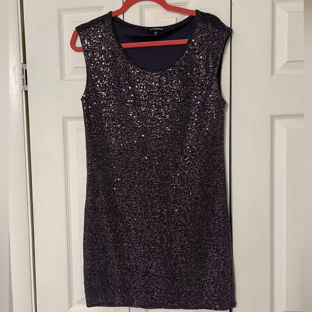 Express Sequin Dress